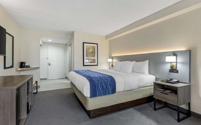 photo 4 of Comfort Inn Herndon - Reston