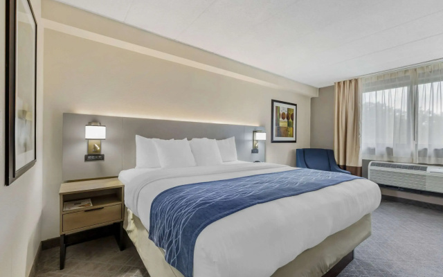 photo 5 of Comfort Inn Herndon - Reston