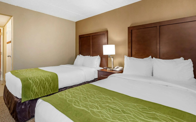 photo 4 of Comfort Inn Edison - New Brunswick