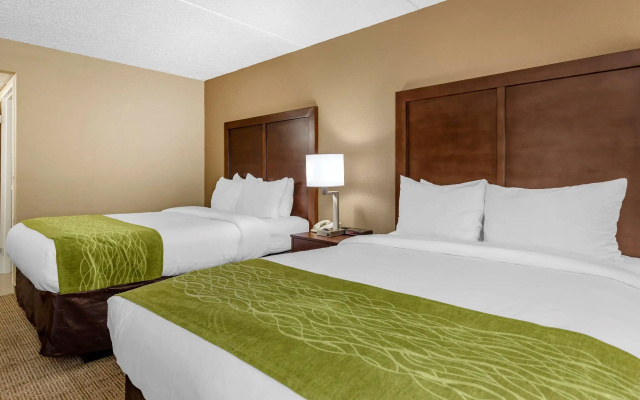 photo 5 of Comfort Inn Edison - New Brunswick
