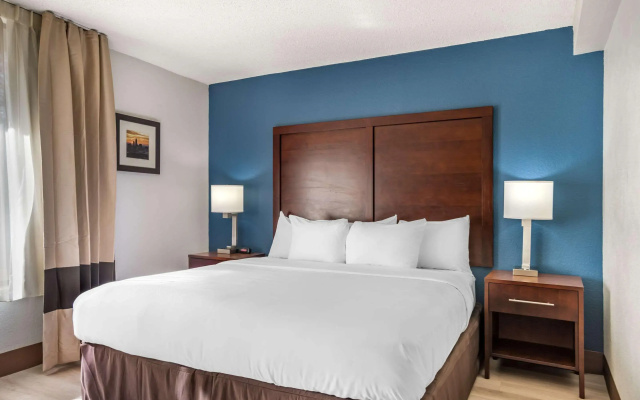 photo 3 of Comfort Inn Charlotte Airport Uptown