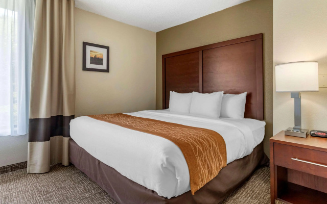 photo 5 of Comfort Inn Charlotte Airport Uptown