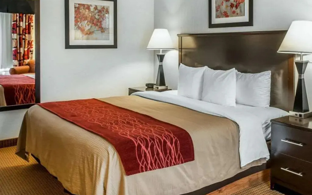 photo 4 of Comfort Inn Farmington