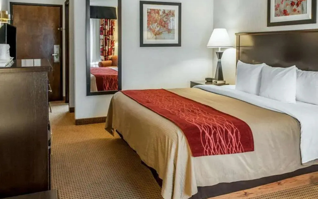 photo 5 of Comfort Inn Farmington