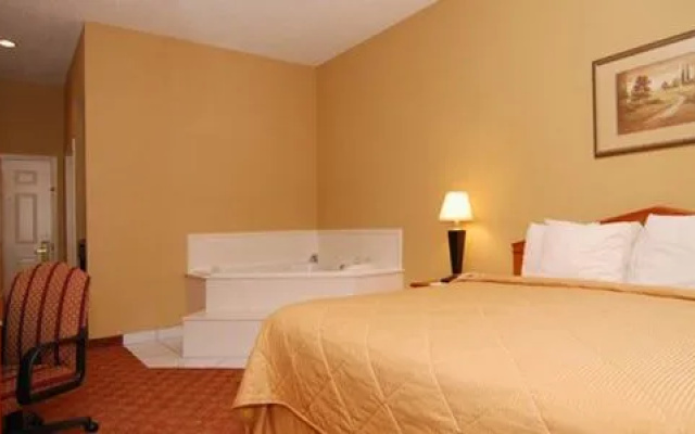 photo 3 of Comfort Inn Henderson