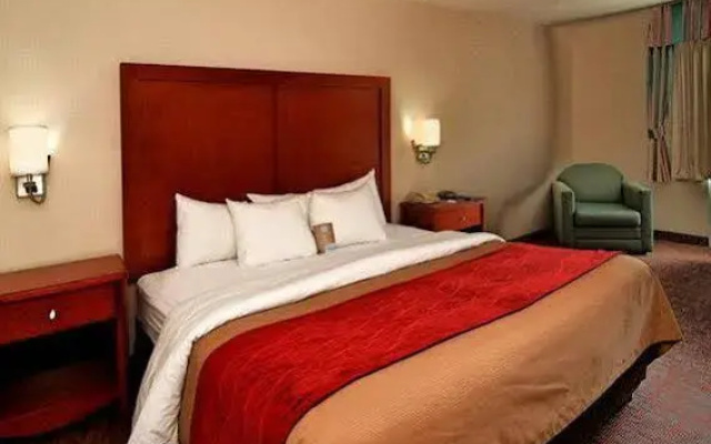 photo 3 of Comfort Inn Historic Area