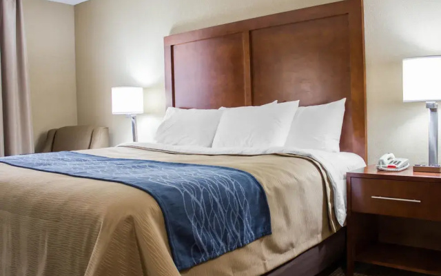 photo 3 of Comfort Inn Jamaica