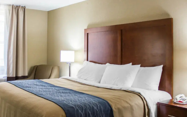 photo 5 of Comfort Inn Jamaica