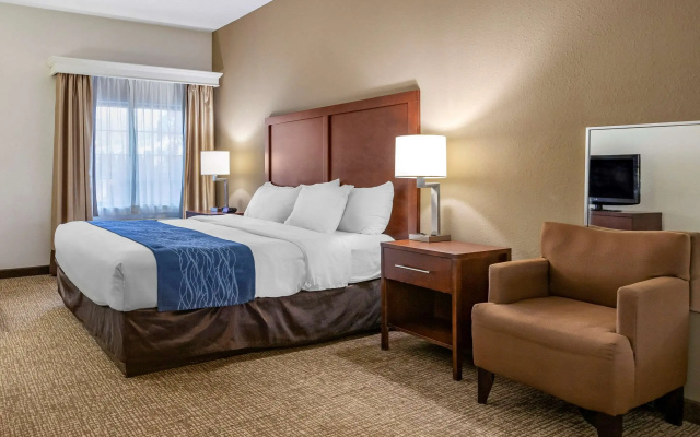 photo 3 of Comfort Inn Downtown - University Area