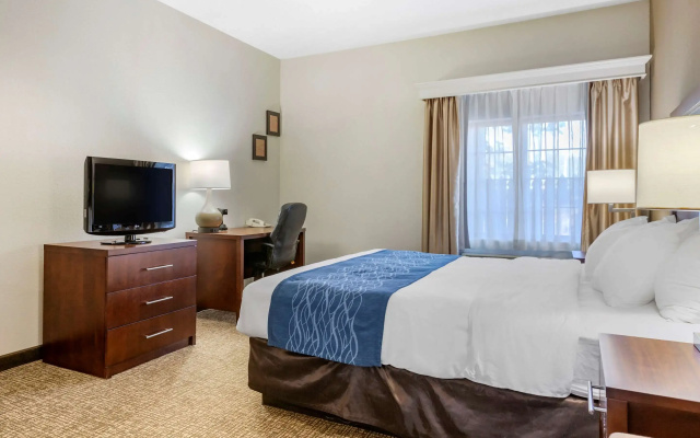 photo 4 of Comfort Inn Downtown - University Area