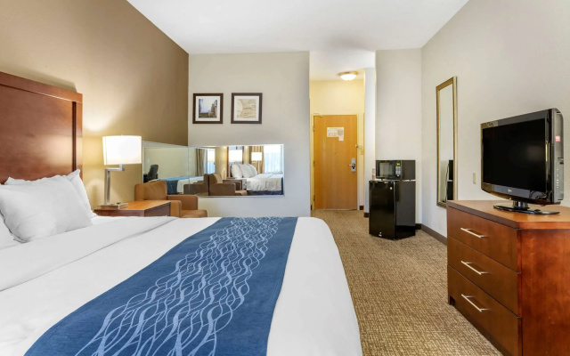 photo 5 of Comfort Inn Downtown - University Area