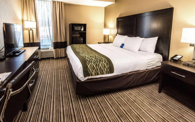 photo 4 of Comfort Inn Lehigh Valley West - Allentown