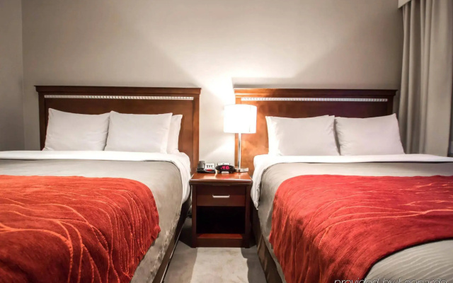 photo 3 of Comfort Inn Manhattan Bridge