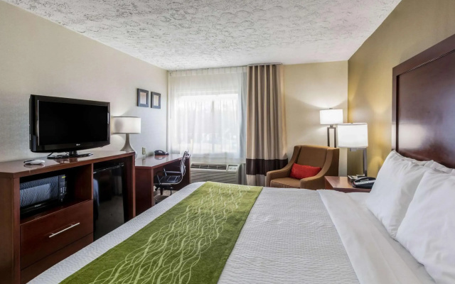 photo 5 of Comfort Inn Medford - Long Island