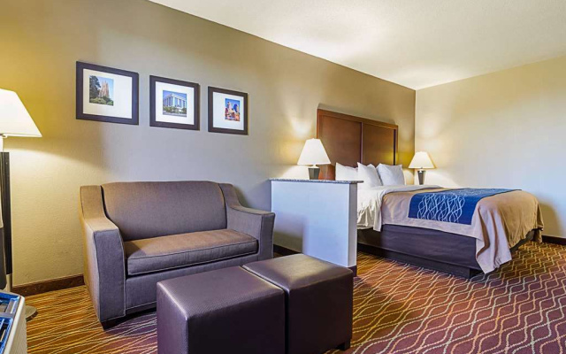 photo 4 of Comfort Inn Medical Park