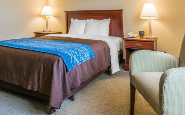 photo 3 of Comfort Inn