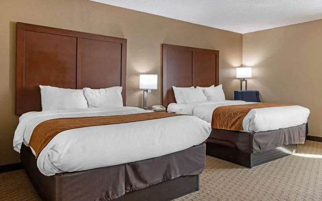 photo 4 of Comfort Inn Near Barefoot Landing