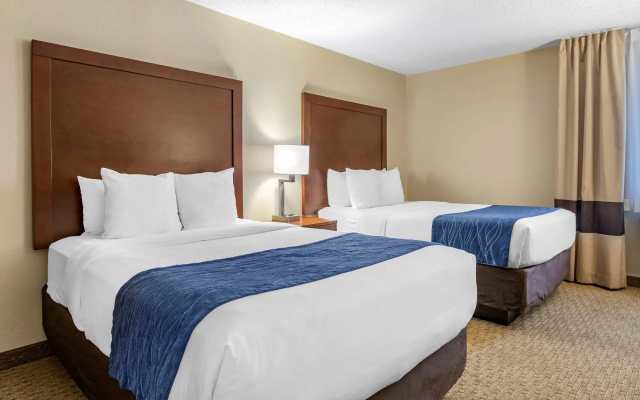 photo 3 of Comfort Inn Near Greenfield Village