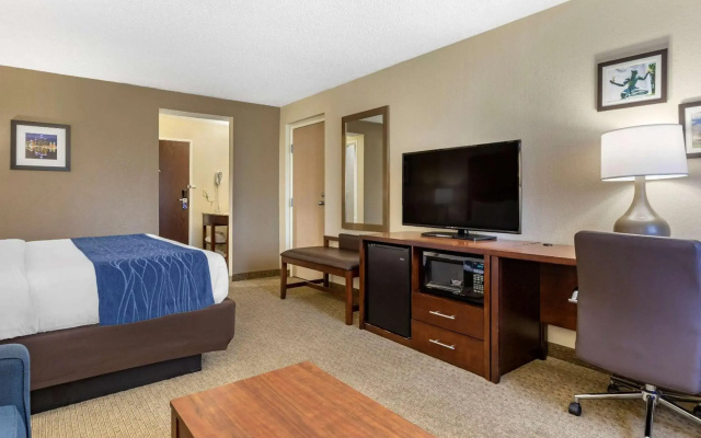 photo 5 of Comfort Inn Near Greenfield Village