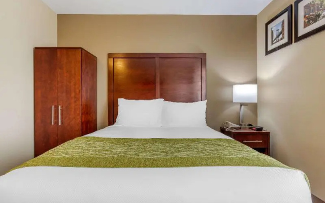photo 2 of Comfort Inn New York Long Island City