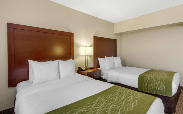 photo 4 of Comfort Inn St Petersburg North