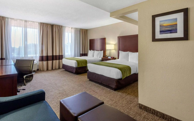 photo 5 of Comfort Inn St Petersburg North