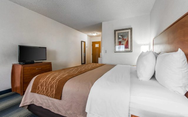 photo 4 of Quality Inn Denver Westminster