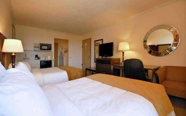 photo 3 of Comfort Inn Oceanside Deerfield Beach