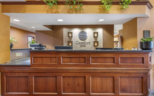 photo 2 of Comfort Inn Okemos - East Lansing