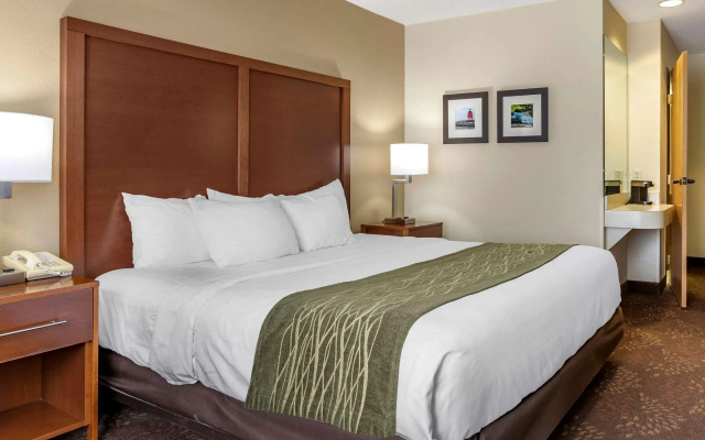 photo 4 of Comfort Inn Okemos - East Lansing