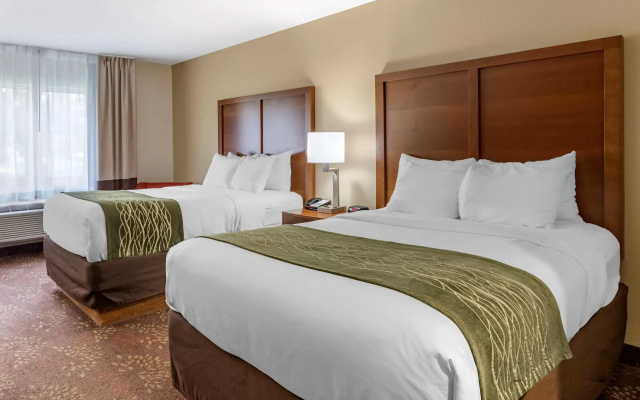 photo 5 of Comfort Inn Okemos - East Lansing