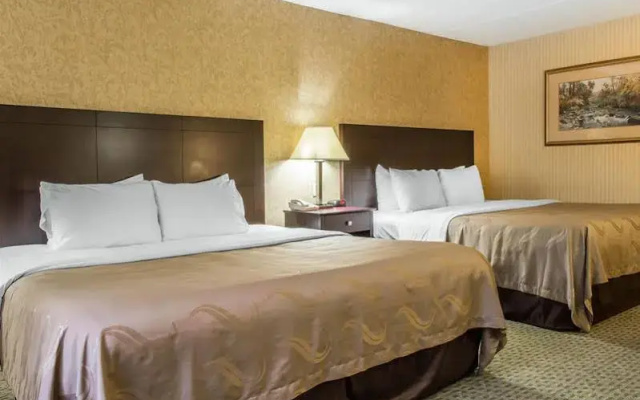 photo 5 of Comfort Inn