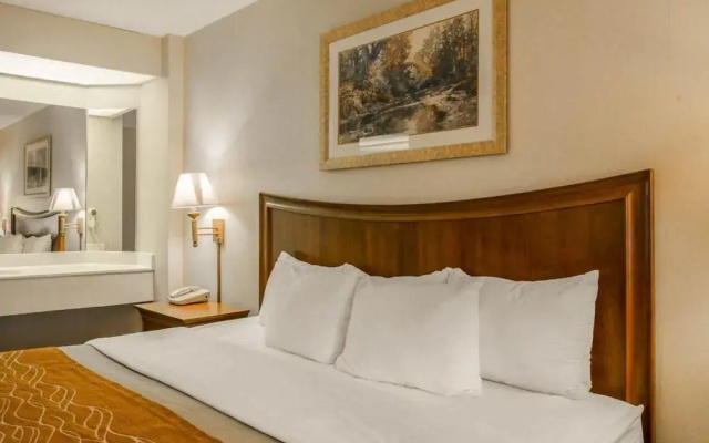 photo 3 of Comfort Inn On The River