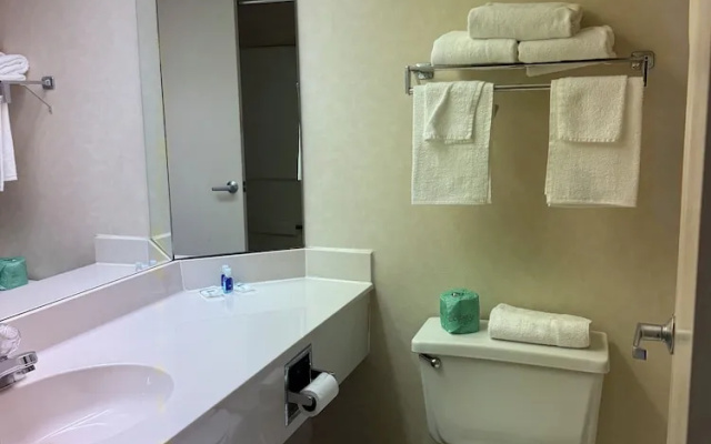 photo 5 of Comfort Inn On The River