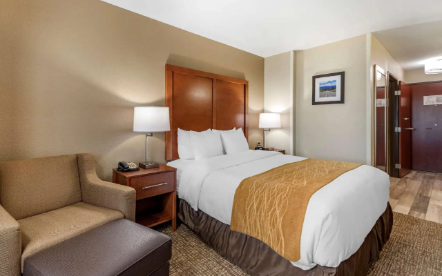 photo 3 of Comfort Inn Portland