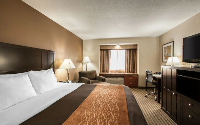 photo 3 of Comfort Inn Portland Hotel