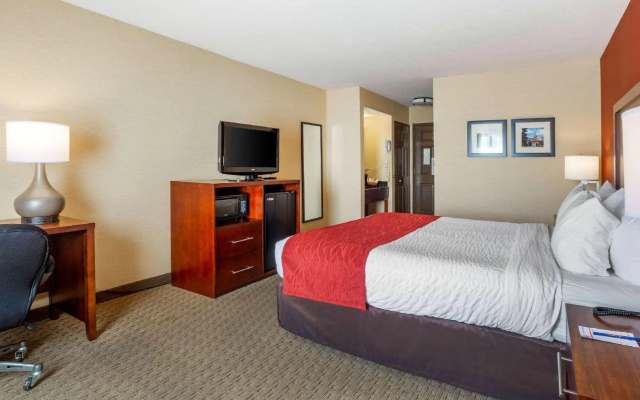 photo 4 of Comfort Inn Redwood City