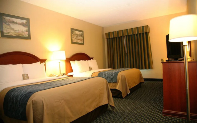 photo 4 of Comfort Inn Rochester - Greece