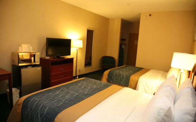photo 5 of Comfort Inn Rochester - Greece