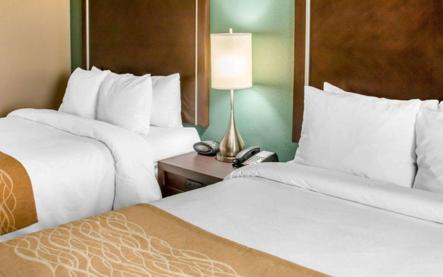 photo 3 of Comfort Inn & Suites San Marcos near Outlet Mall