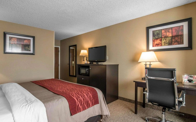 photo 5 of Comfort Inn Saugerties