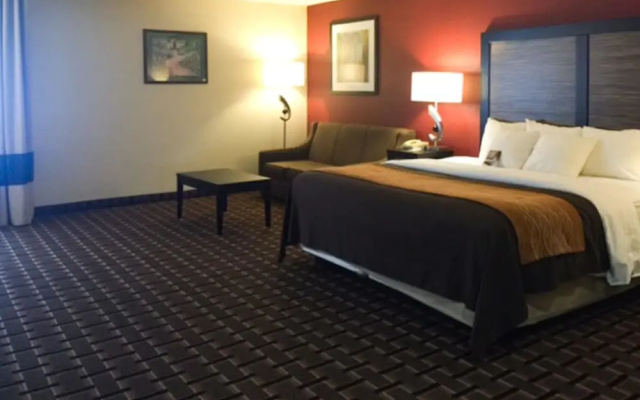 photo 3 of Comfort Inn Edmund Pettus Bridge area