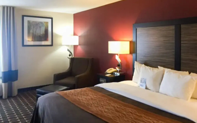 photo 4 of Comfort Inn Edmund Pettus Bridge area