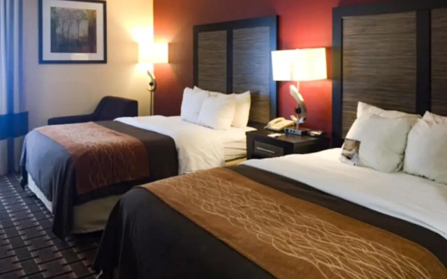 photo 5 of Comfort Inn Edmund Pettus Bridge area