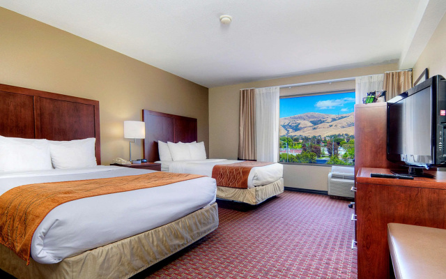 photo 3 of Comfort Inn Silicon Valley East