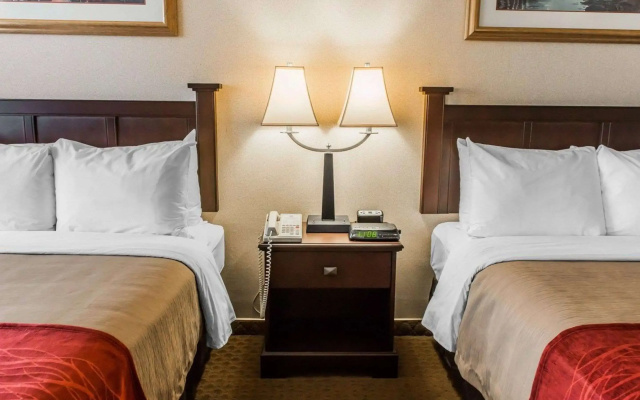 photo 4 of Comfort Inn Somerset