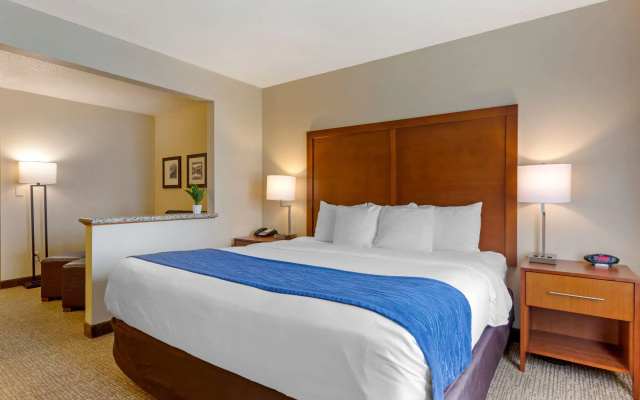 photo 3 of Comfort Inn South