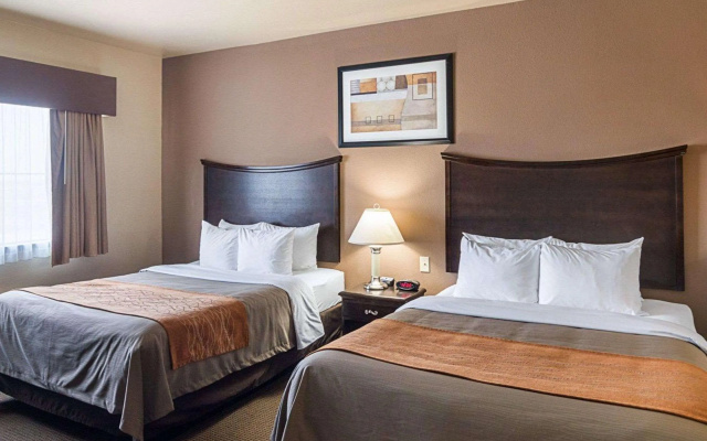 photo 3 of Comfort Inn I-20 Midland Stanton