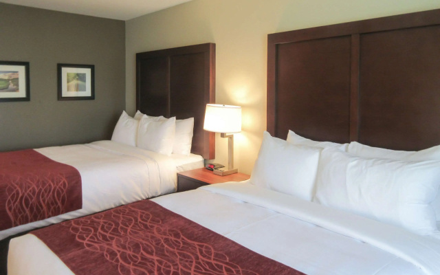 photo 3 of Comfort Inn & Suites Gap Amish Country
