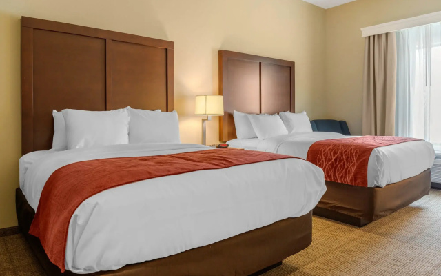 photo 4 of Comfort Inn & Suites
